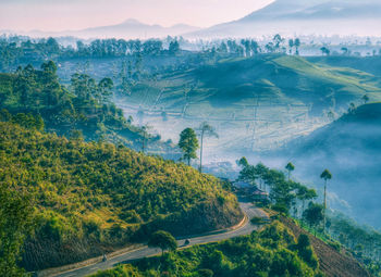 High angle view of road amidst trees against sky