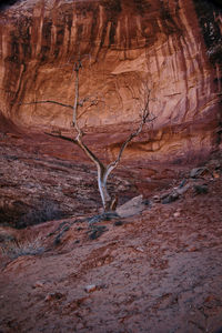 View of cave