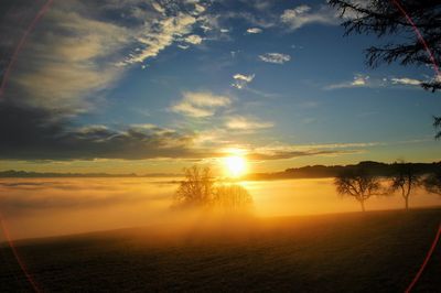 Scenic view of field against sky during sunset