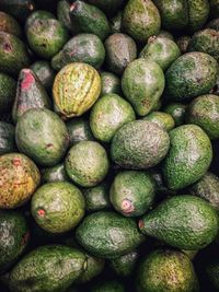 Full frame shot of fruits for sale at market