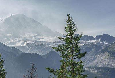 Morning view of mount rainier national park with melting glaciers.