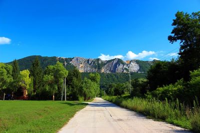 Footpath amidst trees and buildings against blue sky
