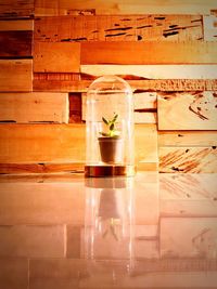Glass of potted plant on table