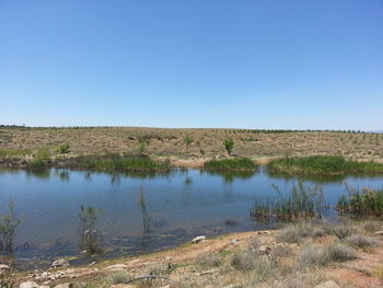 Scenic view of lake against clear blue sky