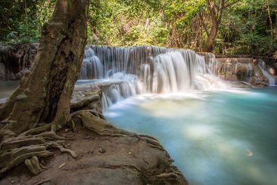 Scenic view of waterfall in forest