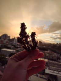 Close-up of person holding hand against sky during sunset