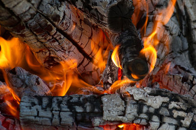 Close-up of fire on log