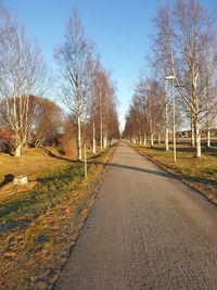 Empty road along bare trees against clear sky