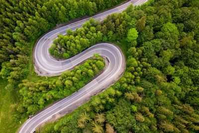 High angle view of road amidst trees in forest