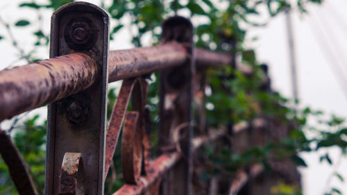 Close-up of rusty metal fence in forest