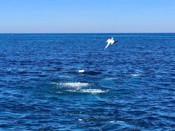 View of sea against blue sky