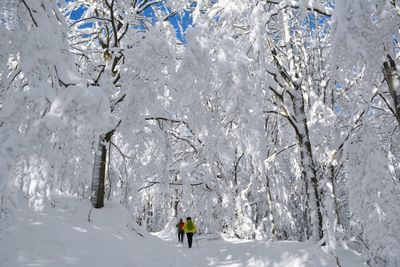 People skiing on frozen landscape during winter