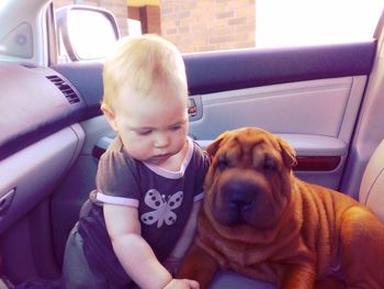 Rear view of man sitting with dog