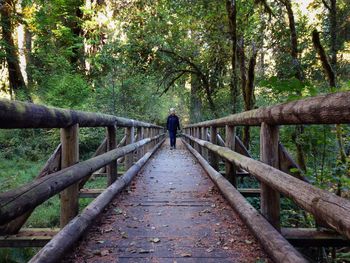 Man walking on footpath in forest