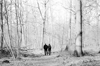 Full length of woman standing on tree trunk