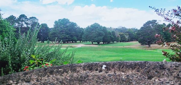 Trees on field against sky