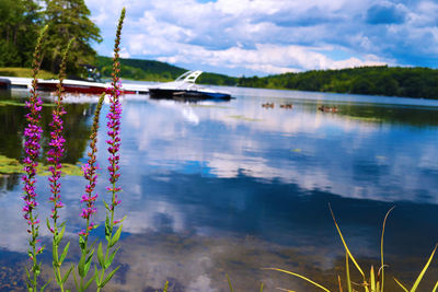 Scenic view of lake against cloudy sky