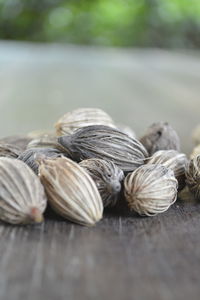 Close-up of food on table