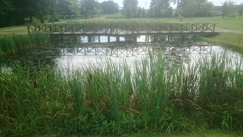 Scenic view of lake with trees in background