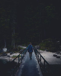 Rear view of woman walking on road in forest