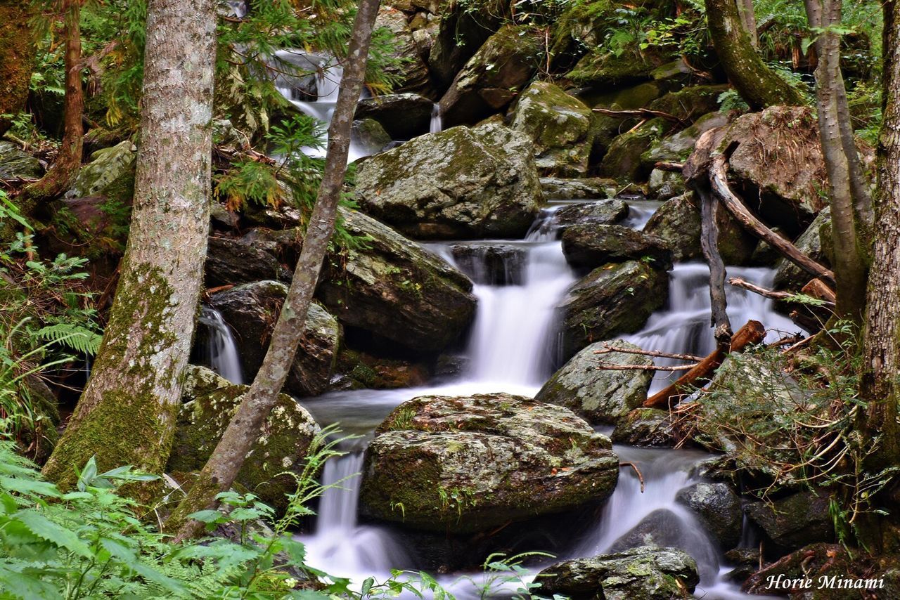 waterfall, motion, long exposure, blurred motion, flowing water, scenics, water, nature, beauty in nature, rock - object, forest, tranquil scene, no people, tranquility, travel destinations, outdoors, tree, speed, day, growth, power in nature