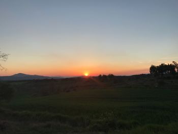 Scenic view of field against clear sky during sunset