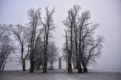 Bare trees on snowy landscape against clear sky