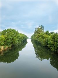 Reflection of trees in lake against sky