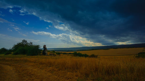 Scenic view of field against sky