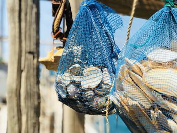 Close-up of fishing net hanging on wood