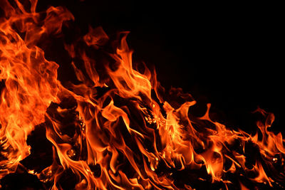 Close-up of bonfire at night