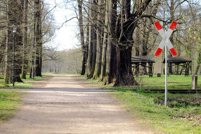 Road amidst trees in forest