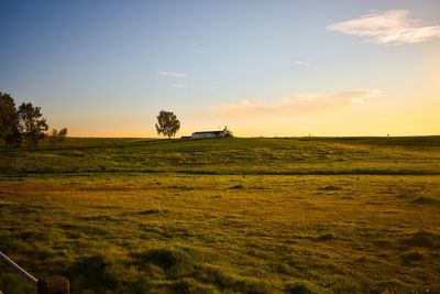 Scenic view of field against sky during sunset
