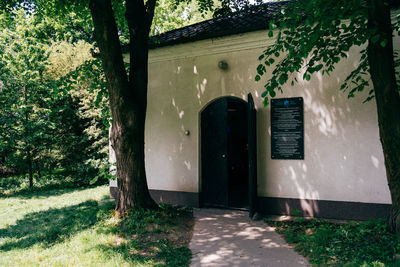 Footpath amidst trees and building in city