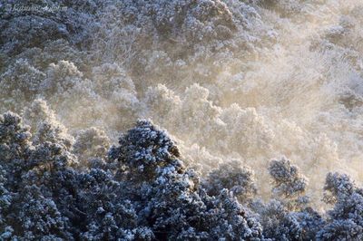 High angle view of rocks in water