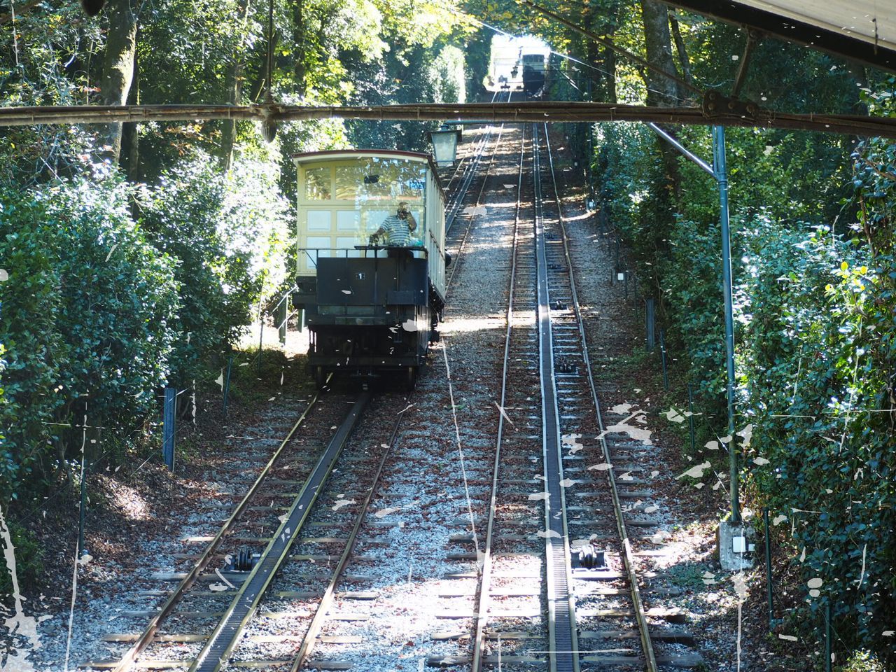 rail transportation, tree, track, railroad track, transportation, mode of transportation, plant, public transportation, nature, day, forest, no people, train, land, architecture, outdoors, travel, growth, connection, abandoned