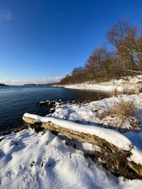 winter