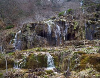 Scenic view of waterfall in forest