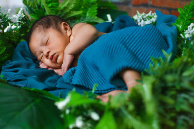 Baby boy sleeping on plant