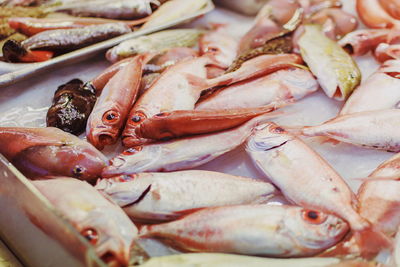 Full frame shot of fish for sale in market