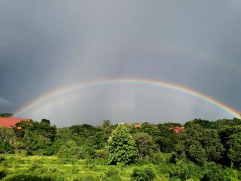 Rainbow over trees against sky
