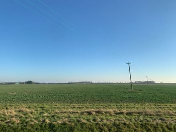 Scenic view of field against clear sky