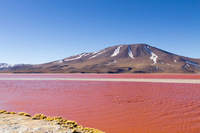 Scenic view of desert against clear blue sky