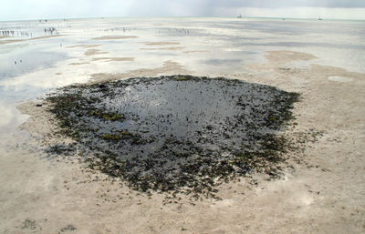 High angle view of beach