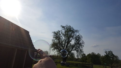 Low angle view of trees against sky