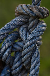 Close-up of rope tied on wooden post