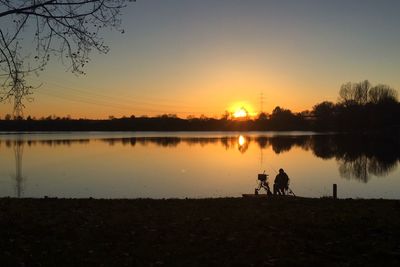 Silhouette of trees at sunset