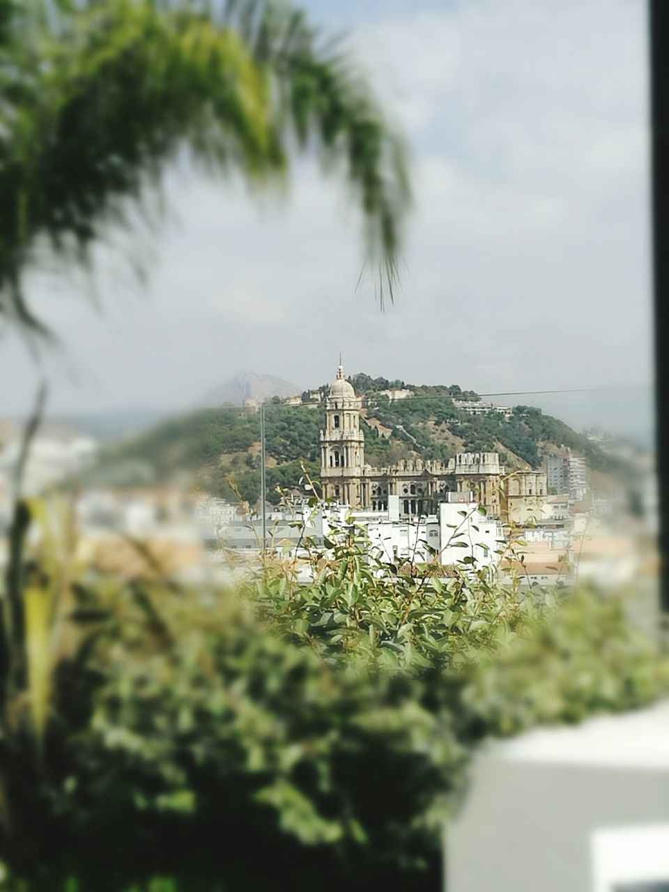 architecture, built structure, building exterior, selective focus, tree, focus on background, growth, sky, city, branch, green color, plant, day, mountain, sea, outdoors, green, tall - high, nature, tourist resort, town, tourism, no people, canal