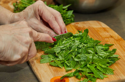 Midsection of person preparing food on cutting board
