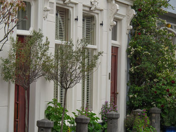 Potted plants outside building